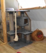 Unsere Räume Svg+xml,%3Csvg%20xmlns%3D%22http%3A%2F%2Fwww.w3